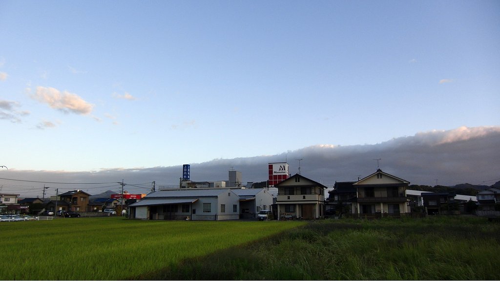 朝雲？朝霧？