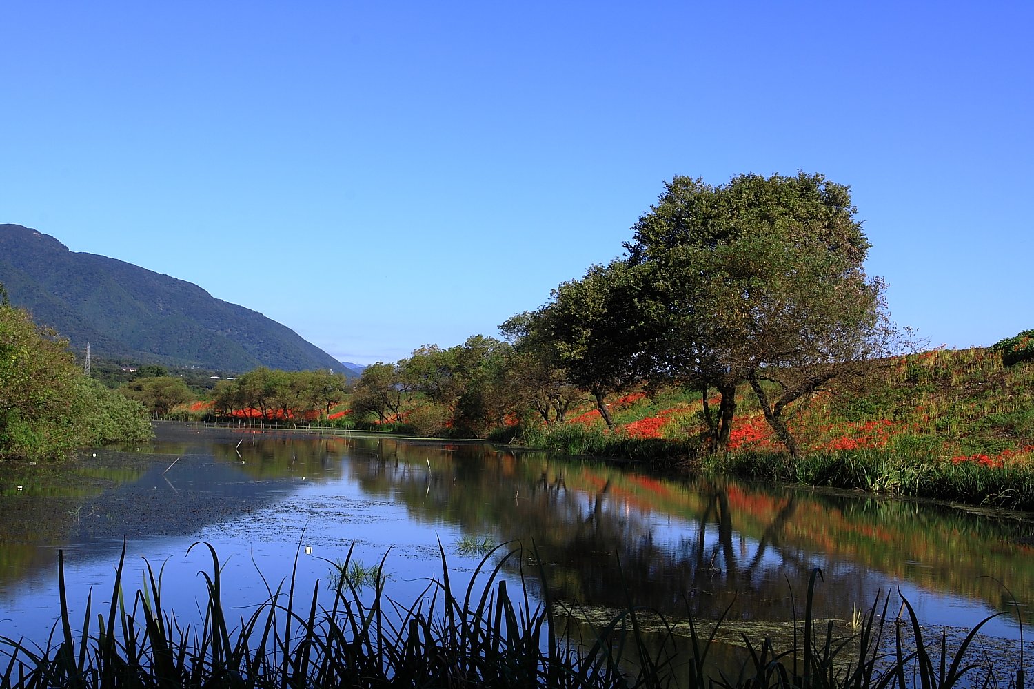 津屋川