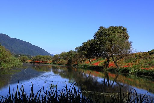 津屋川