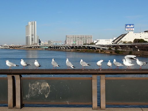 スカイツリーはどこだ?