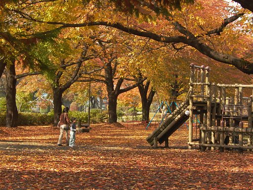 桜の紅葉