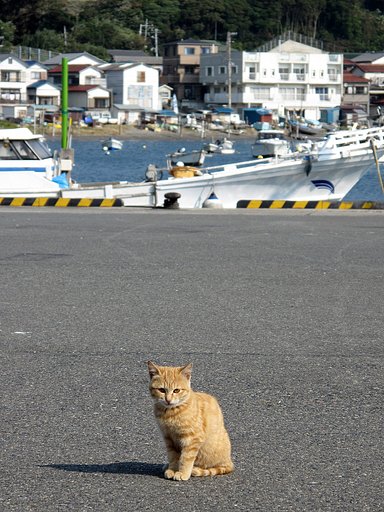 記念写真
