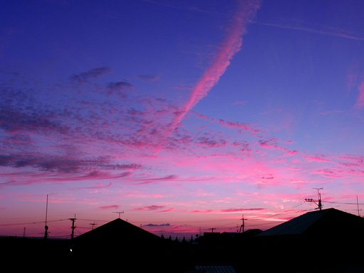 ひと時の紅