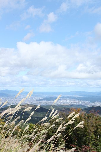 空から見た町
