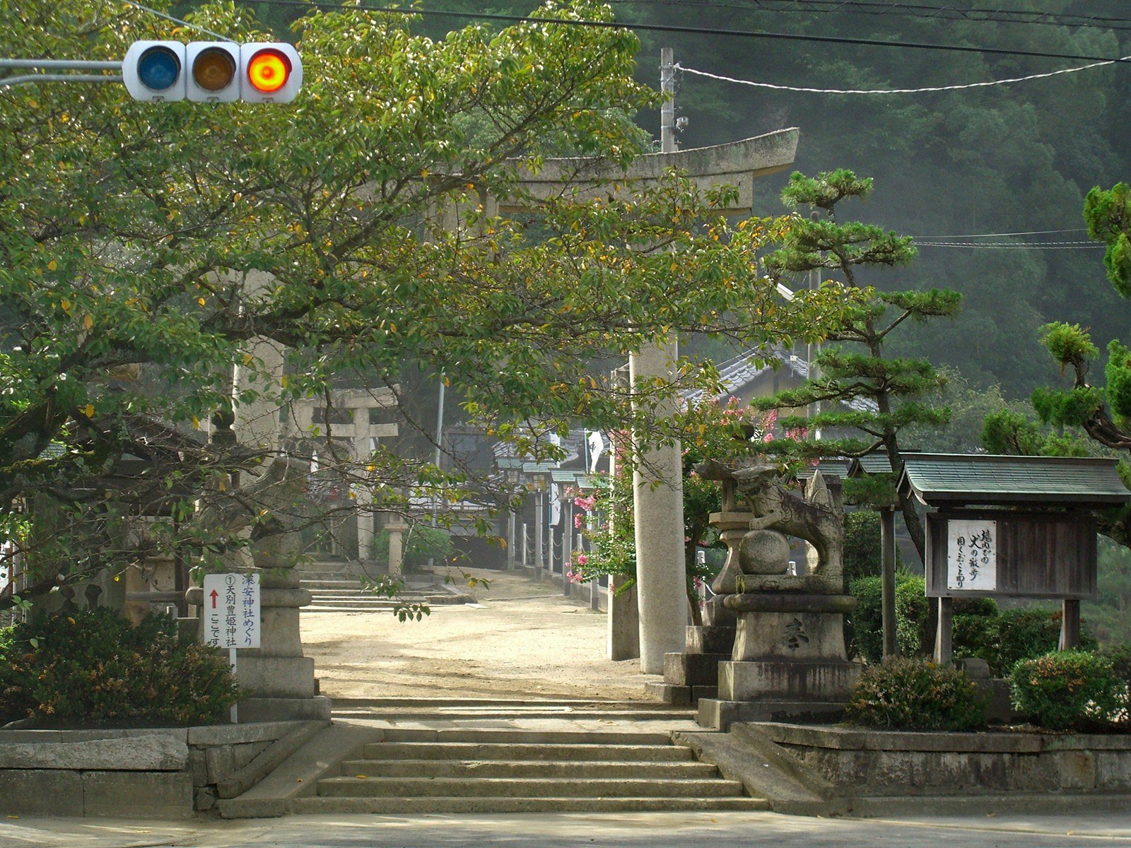 朝