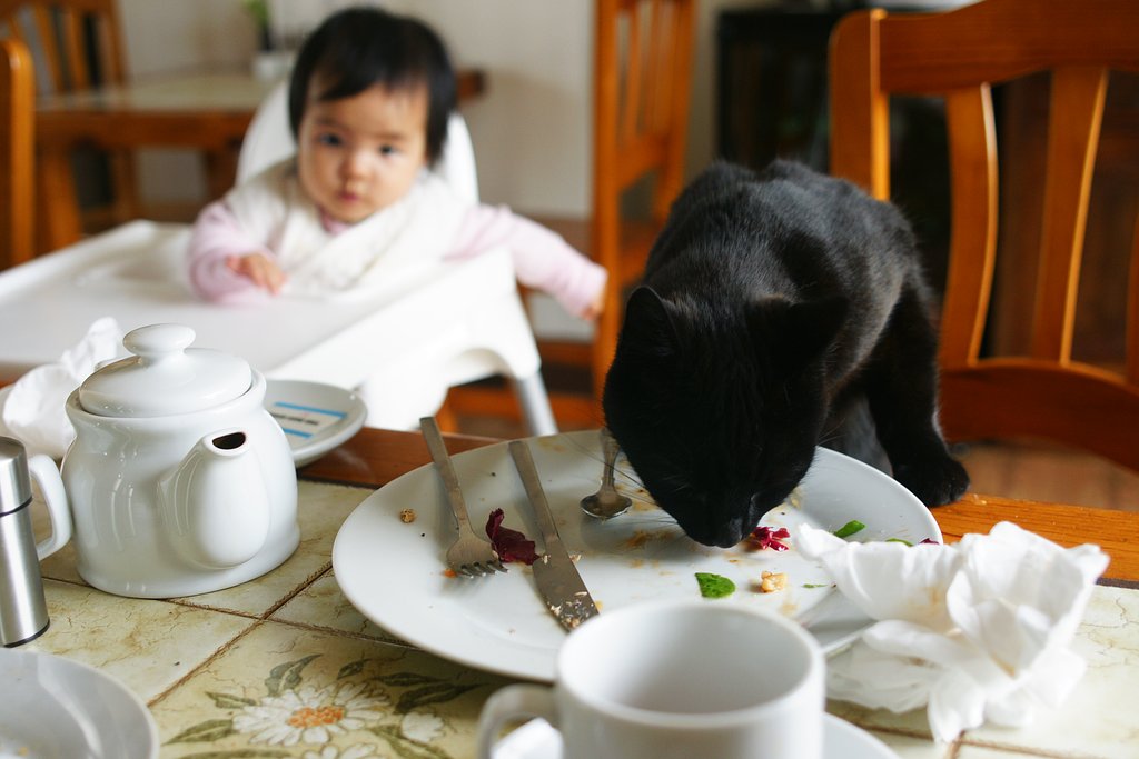 友達、それとも？