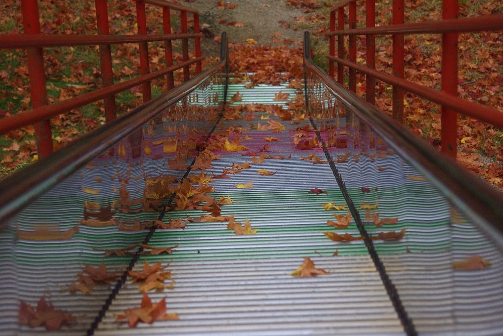 滑り台の秋・・・