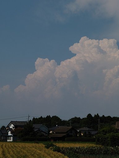 入道雲…^^;