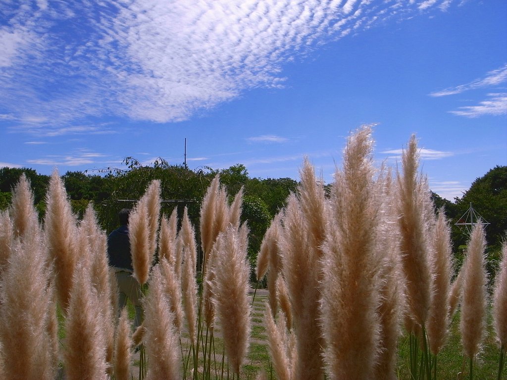秋景色