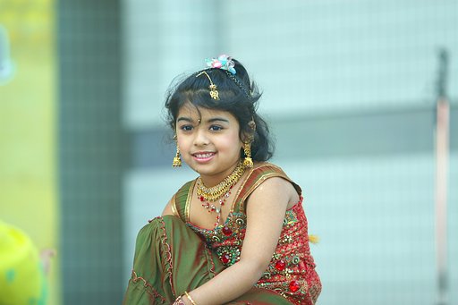 Namaste India 2010 in Tokyo