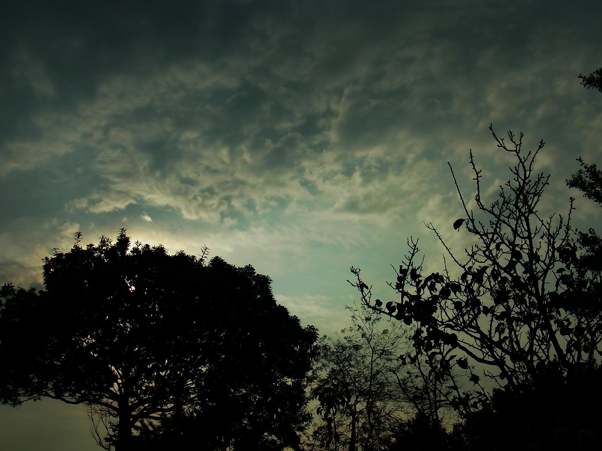 今日の夕空