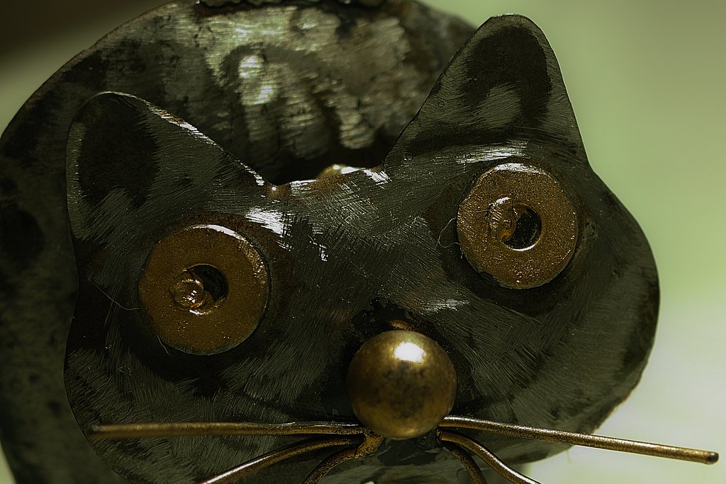 【金】ブリ金猫の素顔