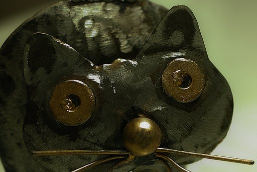 【金】ブリ金猫の素顔