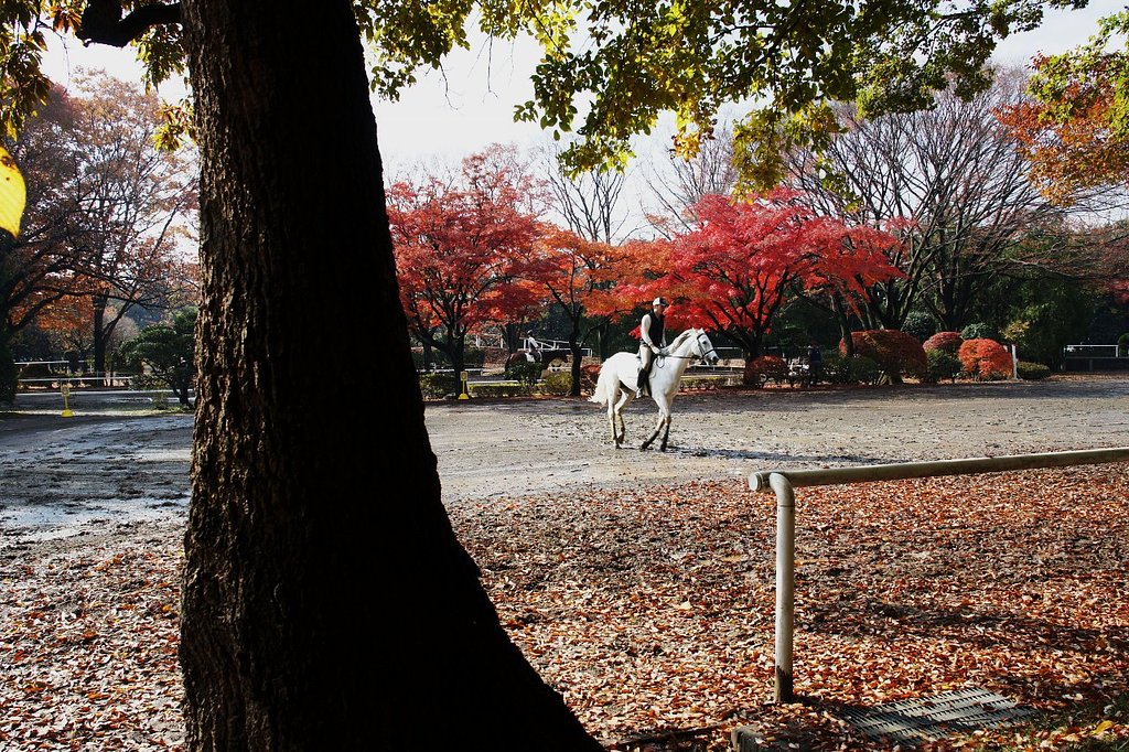 Voigtlander Color Skopar 20mm F3.5