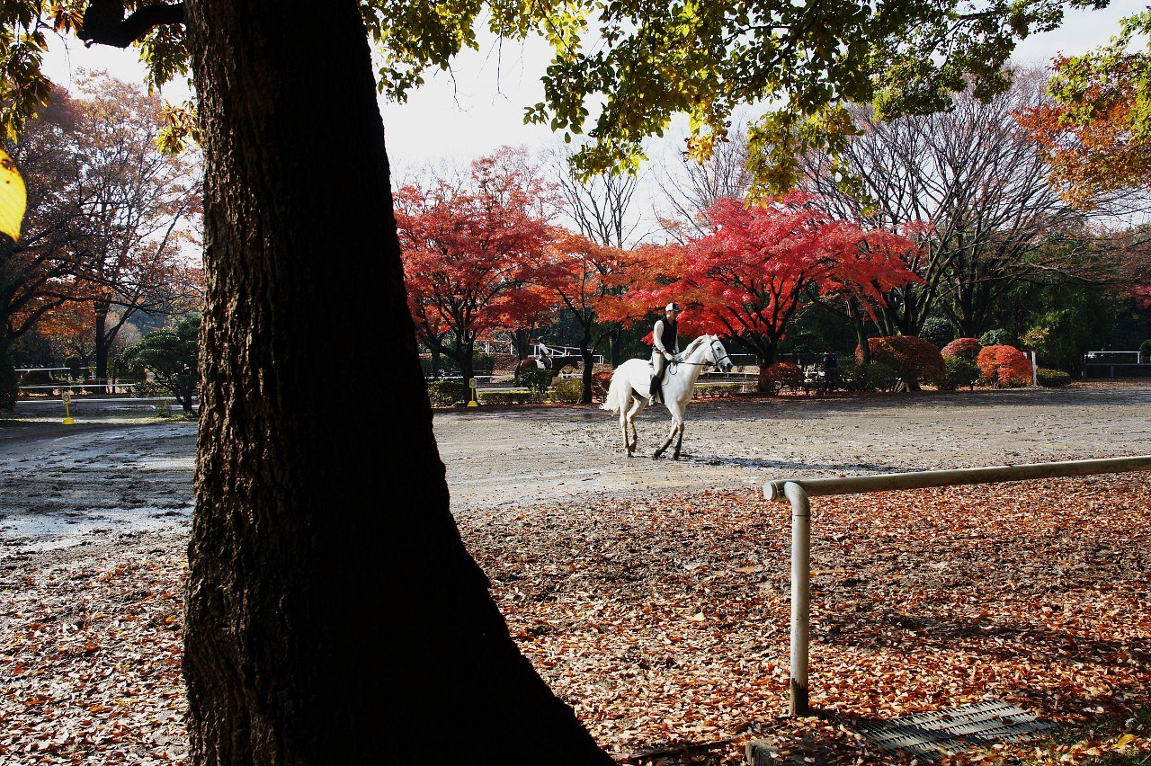 Voigtlander Color Skopar 20mm F3.5