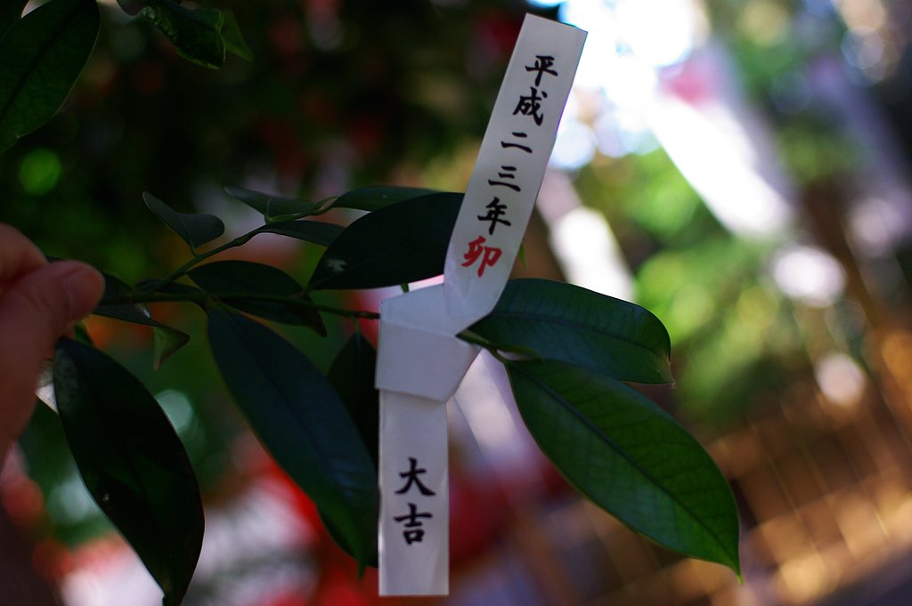 平成２３年年賀状　おみくじ編