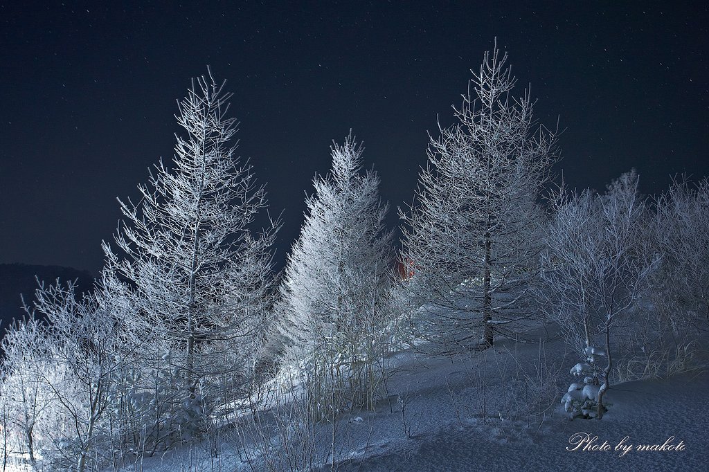 White tree