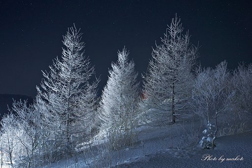White tree