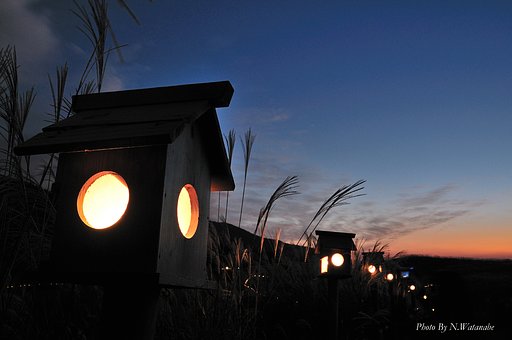 曽爾高原ライトアップ