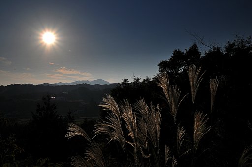 晩秋の陽ざし