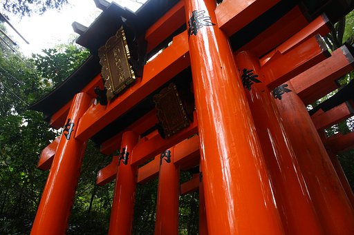 てかてか鳥居