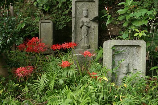 EOS 5D + EF24-105mm F4L IS USM　その２