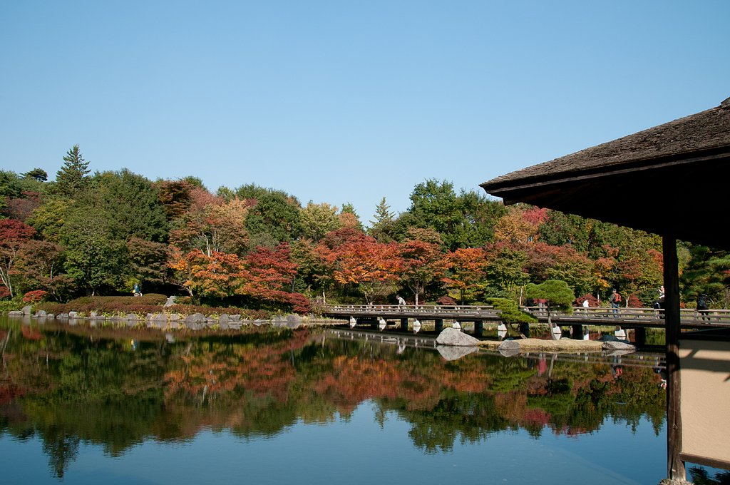 紅葉見頃初め
