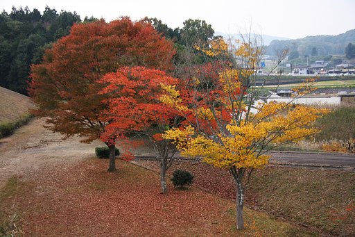 ３本３様