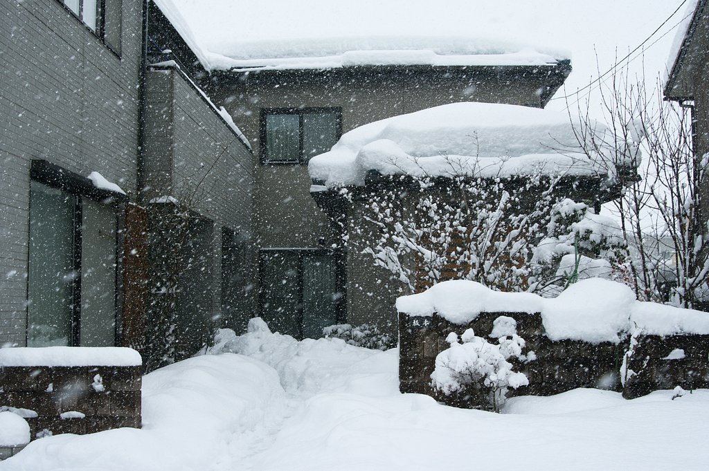雪の状況