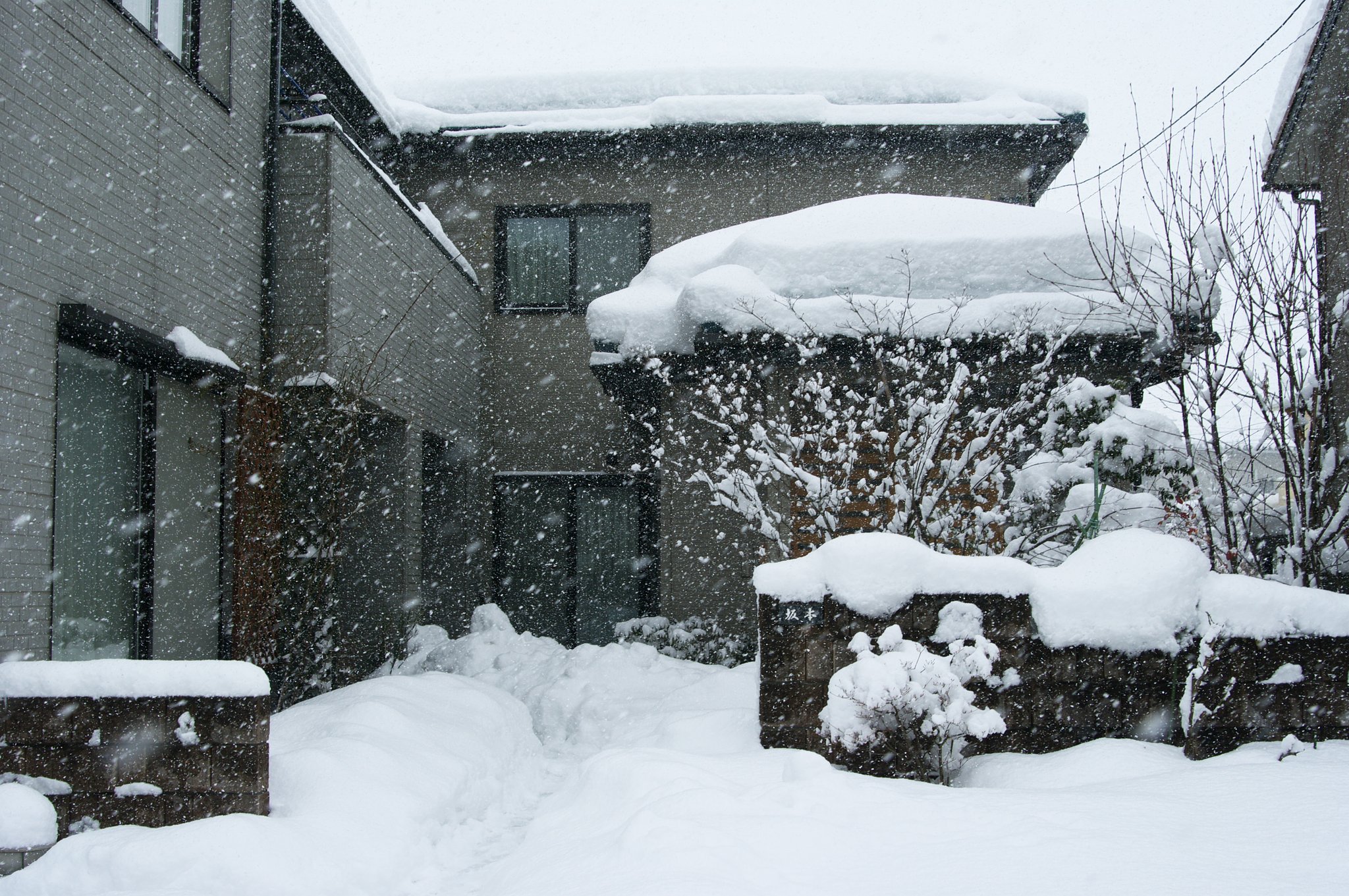 雪の状況