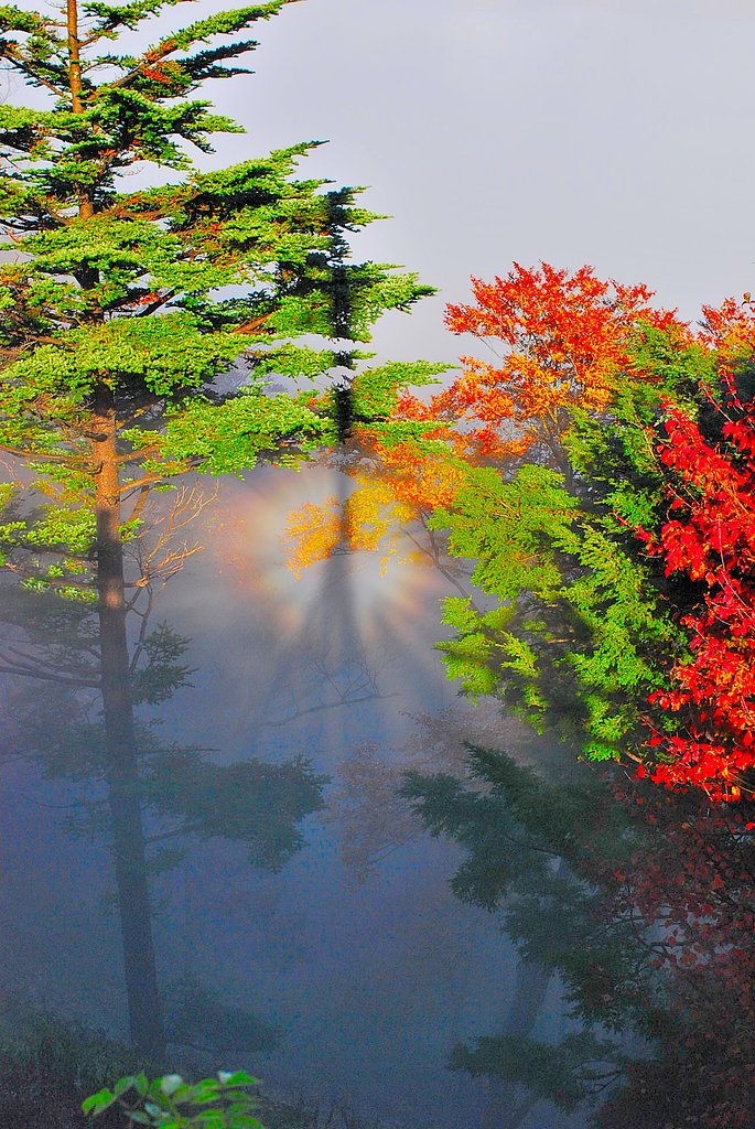靄の入口