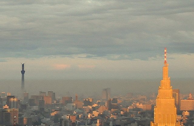 夕景
