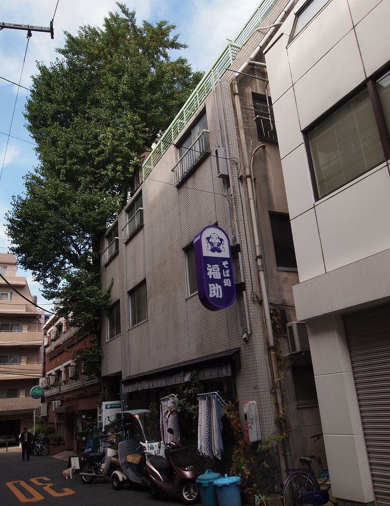 十二社池跡のイチョウ