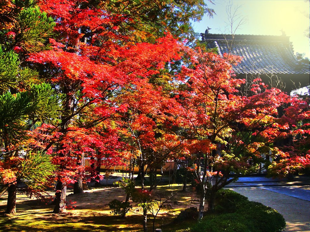宝福寺から・・・HDR