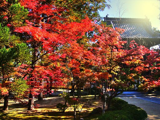 宝福寺から・・・HDR