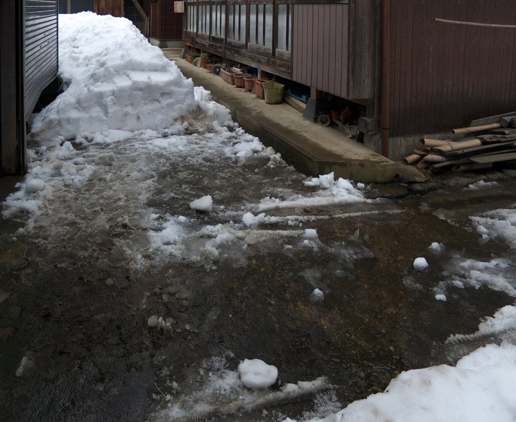 庭先の雪