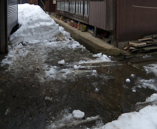 庭先の雪