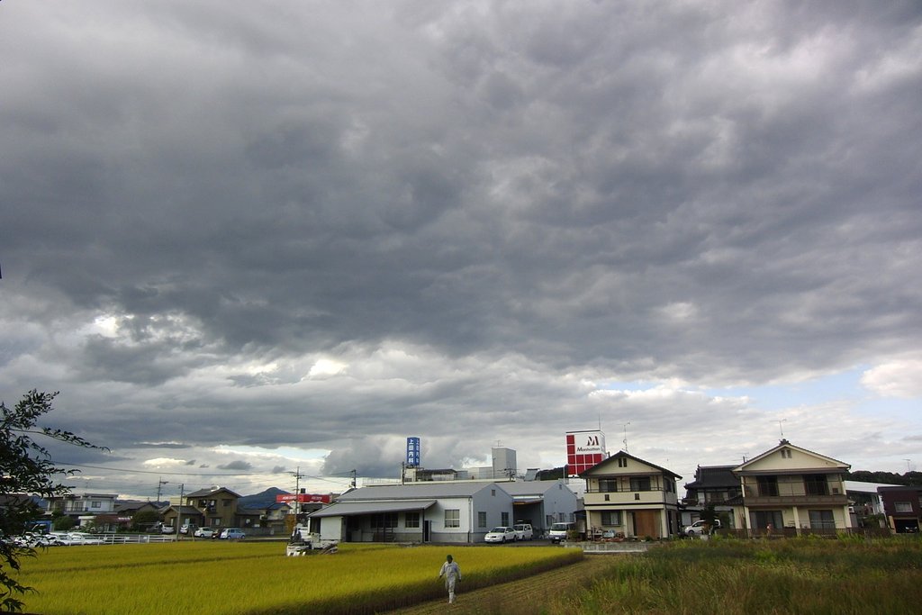 稲刈り始まる