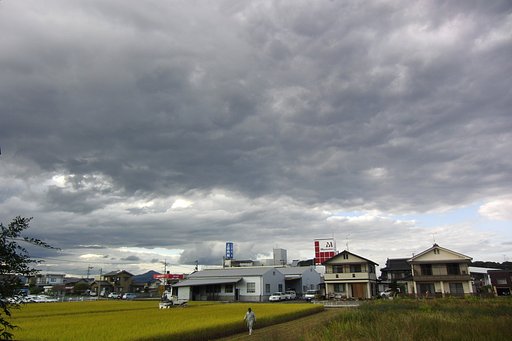 稲刈り始まる