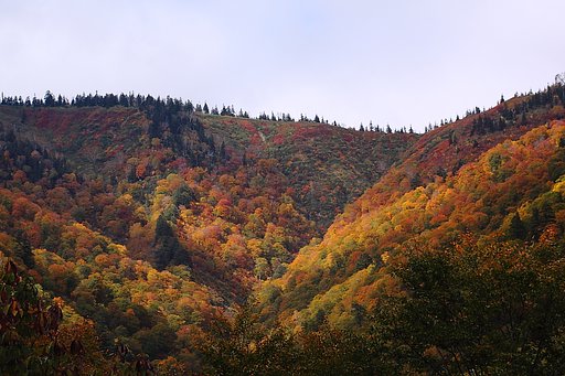彩の峰