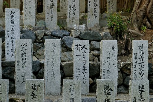 日陰に句碑並ぶ