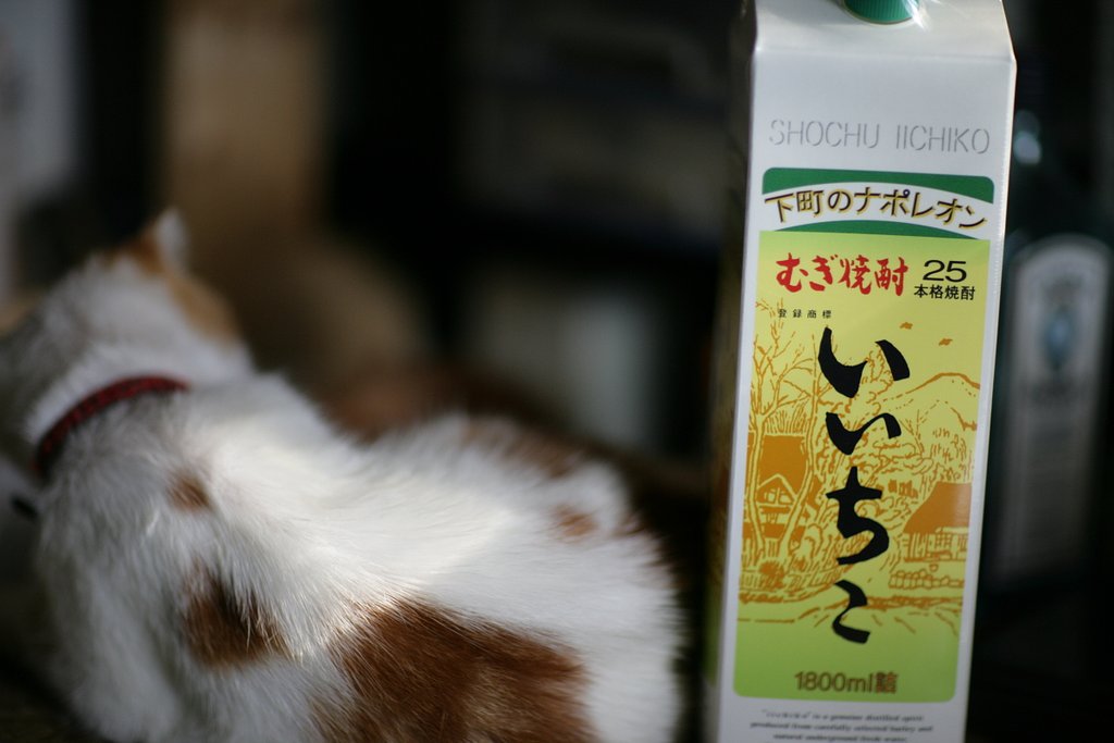 いつものやつ