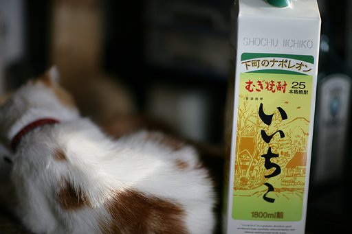 いつものやつ