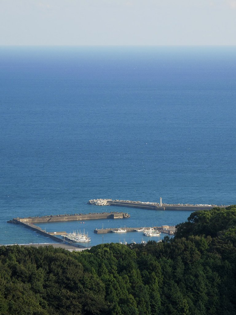 大磯漁港