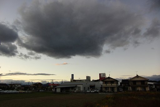 冷えて来ました