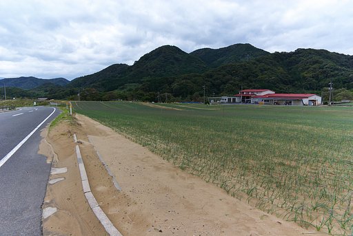 【金】長尺屋根