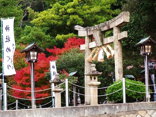 神社の紅葉