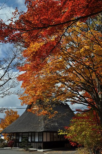 紅葉風景