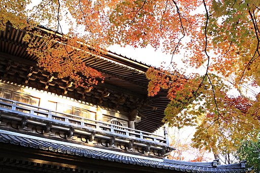 秋色の山門