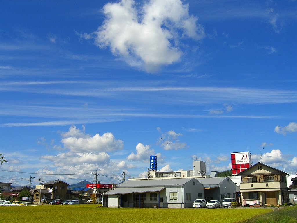 秋空に